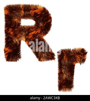 Motif créatif de l'alphabet décoratif en fourrure animale pour une utilisation polyvalente Banque D'Images