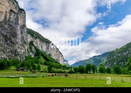 Chute d'eau alpine ensoleillée walley près du village de Lauterbrunnen, Suisse Banque D'Images