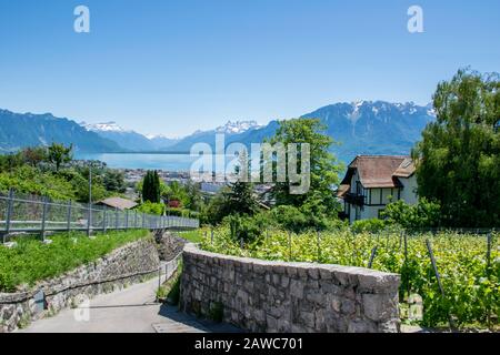 Route près des vignobles de Lausanne, Suisse Banque D'Images