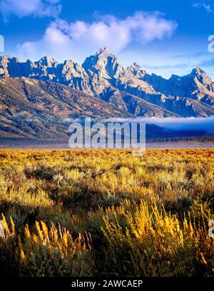 Vue tôt le matin sur la chaîne de montagnes du parc national du Grand Teton au Wyoming. Banque D'Images