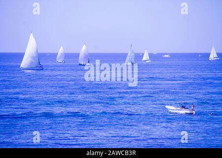 Course à voile à Santa Marinella, Lazio, Italie Banque D'Images