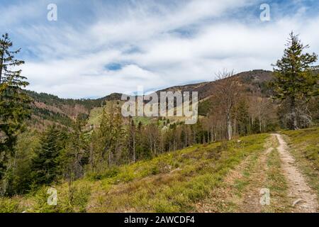 Faites une randonnée sur le Belchen avec une vue panoramique fantastique dans le magnifique Schonau dans la Forêt Noire Banque D'Images