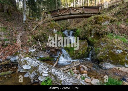 Faites une randonnée sur le Belchen avec une vue panoramique fantastique dans le magnifique Schonau dans la Forêt Noire Banque D'Images