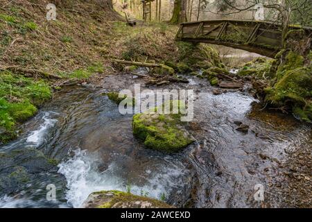 Faites une randonnée sur le Belchen avec une vue panoramique fantastique dans le magnifique Schonau dans la Forêt Noire Banque D'Images