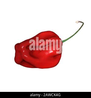 Poivron rouge sur fond blanc. Isoler. Rendu 3D d'excellente qualité en haute résolution. Il peut être agrandi et utilisé comme arrière-plan ou textur Banque D'Images