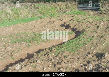 Canal d'érosion par l'eau / canaux de lavage par érosion par les rill dans le champ arable du Royaume-Uni où la pluie a lavé la terre arable. Érosion de l'eau de surface, perte du sol, ravin du sol. Banque D'Images