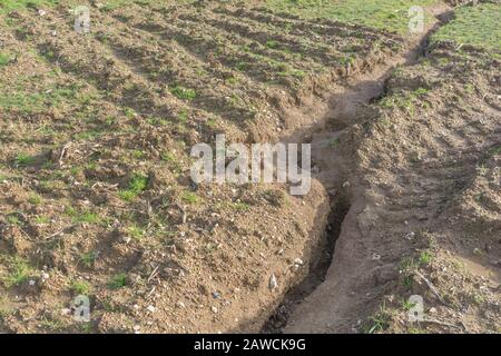 Canal d'érosion par l'eau / canaux de lavage par érosion par les rill dans le champ arable du Royaume-Uni où la pluie a lavé la terre arable. Érosion de l'eau de surface, perte du sol, ravin du sol. Banque D'Images