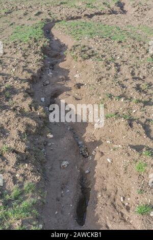 Canal d'érosion par l'eau / canaux de lavage par érosion par les rill dans le champ arable du Royaume-Uni où la pluie a lavé la terre arable. Érosion de l'eau de surface, perte du sol, ravin du sol. Banque D'Images