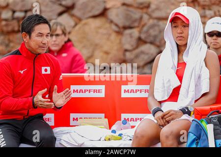 Carthagène, Espagne. 7 février 2020. Joueur espagnol, Sara Sorribes gagne à Naomi Osaka lors du premier match entre l'Espagne et l'équipe nationale du Japon pour FedCup BNP Paribas. Naomi Osaka pendant le match. Crédit: Abel F. ROS/Alay Live News Banque D'Images