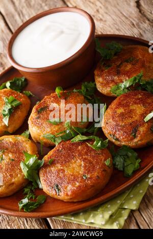Aloo tikki est une collation populaire du nord de l'Inde de patties épicées de pommes de terre croustillantes avec des yaourts rapprochés dans une assiette sur la table. Vertical Banque D'Images