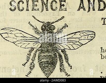 Le Forfar Directory Et Le Livre De L'Année 1886 . J.W. .Dawson, directeur du Collège McGill, Montréal, F.g.s., F.R.s., auteur de la chaîne de vie en Temps géologique, etc. Witii de nombreuses Illustrations. Svo Couronne 3 plaques en tissu. Sir William Dawson a récemment visité Egj^pt et SjTia, et dans ce petit travail il montre quelle géologie légère et géographie physique jeter sur les records sacrés. Le livre contient beaucoup d'infonnation nouvelle et précieuse mise dans une forme claire et intéressante. Assyria: Ses Princes, Prêtres Et Gens. Par A. H. Sayce, LL.D., M.A. Dlustrated. Planches en tissu, 3 s.Piofesseur Sayce donne dans un sma Banque D'Images