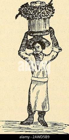 Rapport du comité naval à la Chambre des représentants, août 1850, en faveur de l'établissement d'une ligne de navires à vapeur par courrier sur la côte ouest de l'Afrique, et de leur passage par la Méditerranée à Londres; . rt de leur temps de parole de cette façon. Dans leur robe, cette classe favorise les Français et se conforme aux derniers styles parisiens. Ils portent la robe charistique des Espagnols, la mantilla. La troisième course, les Mestizos, course mixte, est le printemps de la mère et du père blanc. Ils arborent des cavaliers endiablés, et semblent com-bine les meilleures caractéristiques des courses de thetwo Qu'Ils portent, quand Banque D'Images