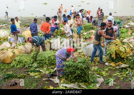 Les marchands de fleurs nouent des feuilles d'arbre dans le sac sur la rive de la rivière Hoogghly ou Ganga à Mlick ghat le matin. Kolkata. Inde Banque D'Images