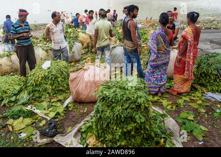 Les marchands de fleurs nouent des feuilles d'arbre dans le sac sur la rive de la rivière Hoogghly ou Ganga à Mlick ghat le matin. Kolkata. Inde Banque D'Images