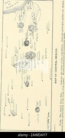 Rapport du comité naval à la Chambre des représentants, août 1850, en faveur de l'établissement d'une ligne de navires à vapeur par courrier sur la côte ouest de l'Afrique, et de la fin de la Méditerranée à Londres; . ere intéressé à étudier la phosphorescence qui pourrait être clairement vu comme le navire s'est enfilé le long. Cela a été causé par des myriades de petits animaux, dont les corps ont donné le poids argenté. Parmi ces animaux, le chef était des créatures thématiques appelées par les naturalistes Noctiluca, ani-mals appartenant au sous-Royaume Protozoa. Les otherbanimaux, tels que les mollusques larvaires, les acalephes et certains poissons,contr Banque D'Images