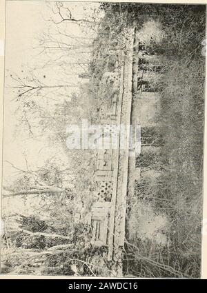 Rapport du comité naval à la Chambre des représentants, août 1850, en faveur de l'établissement d'une ligne de navires à vapeur par courrier sur la côte ouest de l'Afrique, et de la clôture par la Méditerranée à Londres; . t sur son toit, était une deuxième, beaucoup plus petite, avec une façade bien sculptée. Thisbuilding était divisé en plusieurs chambres. Les portes ont hérésie un ajout, pas avant observé dans n'importe quel bâtiment inUxmal; il s'agissait de deux piliers de pierre qui divisaient la porte en trois ouvertures. Ce caractère n'a pas été observé dans les bâtiments ci-dessous. Le toit était beaucoup tombé et surgrogné avec grand et sm Banque D'Images