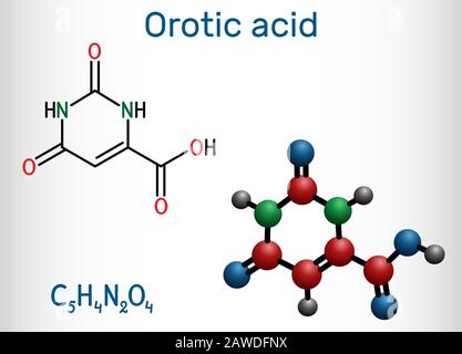 Molécule d'acide orotique. C'est une pyrimidinedione et un acide carboxylique. Formule chimique structurelle et modèle de molécule Illustration de Vecteur