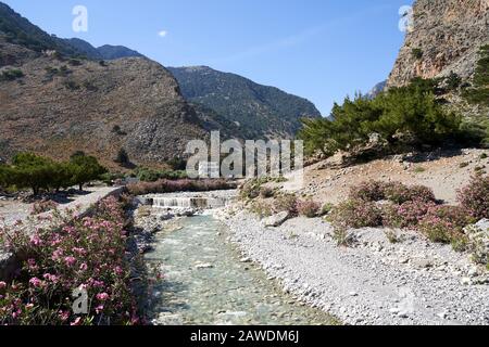 Village grec d'Agia Roumeli, Chania, Crète, Grèce en été Banque D'Images