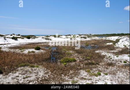 Belles dunes de sable sur le golfe du Mexique Banque D'Images