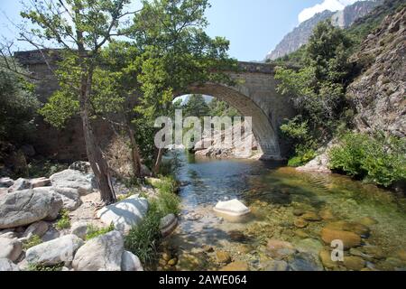 Vieux pont genoois dans la gorge de Spelunca, Corse, France Banque D'Images