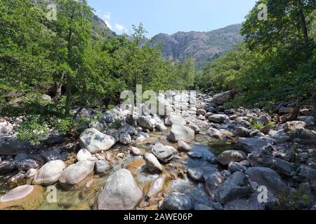 Ruisseau de montagne près de la gorge de Spelunca, Corse, France Banque D'Images