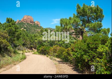 Sentier de randonnée jusqu'au pic du Cap Roux dans le Massif de l'Esterel, Anthor, Var, Provence-Alpes-Côte d'Azur, France Banque D'Images