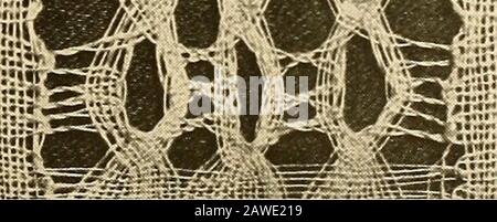 Un guide de dentelle pour les fabricants et les collectionneurs; avec une bibliographie et une nomenclature en cinq langues, abondamment illuseusement avec des plaques de demi-teinte et des conceptions de clés . Banque D'Images
