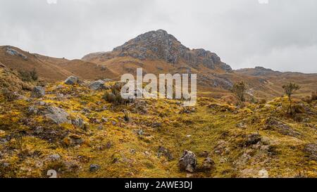 Parque Nacional El Cajas, Cuenca. Banque D'Images