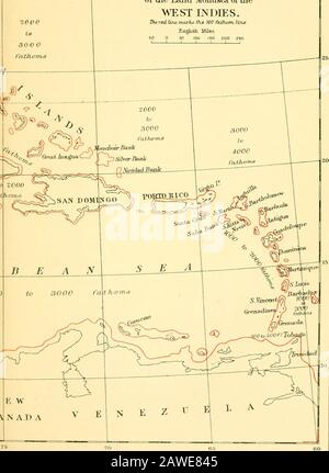 L'histoire naturelle de Cambridge . Carte illustrant la DISTRIBUTION par GEOGRAPHICAL des mollusques terrestres des ANTILLES. THF. Huw rouge, mnx-ks le 100 fathom. VaieEnglish Miles 0 50 100 150 200 250. E WMN AD A i& cv. XOR&gt;djorv ? SutJ^JbrtVs Oeoq^ Ssiah^. Carte C . lirMrfn, pape^ &gt;IH et 3 fj. Banque D'Images