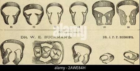 Le cosmos dentaire . 57 58 59 40 cents chacun. DR. E. C- MOORES. DR. W. ST. GÉO. ELLIOTS... 67 &lt;38 69 70 71 80 cents chacun. DR. W. EVANSS INCISOR DR. W, EVANSS INCISOR ET BICUSPIDE, ET BICUSPIDE AVEC SET DR. HIC. VIS. Banque D'Images