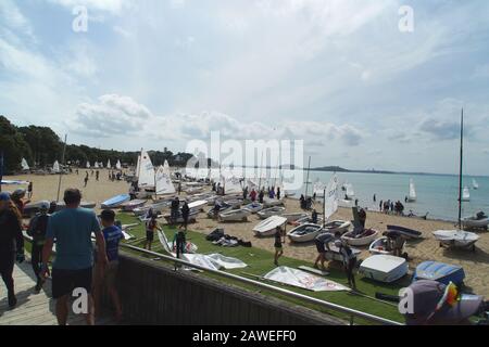 Moins de 18 concurrents sur la plage et dans l'eau à la voile Junior Sail Auckland Regatta 2020, Kohimarama Yacht Club, Auckland, NZ Banque D'Images