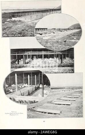 Septième cataloge annuelle de Cyphers Incubator Company : fabricants des Cyphers non-humidité, auto-ventilation et auto-régulation incubateurs, les Cyphers améliorés couvers et une gamme complète d'appareils de volaille, également les concessionnaires de fournitures de volaille . 59. LE CANARD CYPHERS ET LA PLANTE DE GRIL. Banque D'Images