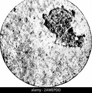 La corrosion du fer; les peintures antisalissures et anticorrosives . n de rouille se sont déroulées de façon très uniforme, bien que les tuyaux aient tous été exposés à des conditions atmosphériques préceliles mêmes. Beaucoup de tuyaux n'ont fait l'acquisition que d'un léger film de rouille, alors que d'autres étaient exempts de rouille sur le côté supérieur, celui qui était le plus exposé au therain, bien que les côtés aient été recouverts de couches cohérentes, mais minces, d'inrouille. Même dans un seul et même tuyau, quelque 32 peintures Mon-COBEOSION ET ANTI-CORROSION. Les portions étaient assez exemptes de rouille, tandis que d'autres, cloceto, portaient une croûte assez épaisse. C'était dans beaucoup d'instanceseas Banque D'Images