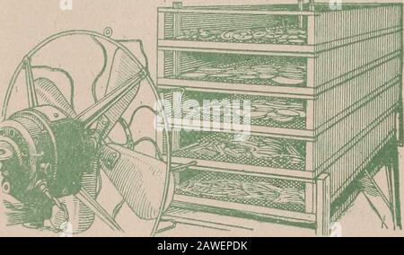 Maison mise en conserve et séchage des légumes et des fruits .. . Fig. 12. Un type de sécheur com-Merpial avec four. Après utilisation. Un couteau qui n'est pas lumineux et propre décolorera le produit sur lequel l'itis utilisé et ceci devrait être évité. Le blanchiment ET le Blanchiment COLDrDIPONG sont souhaitables pour un séchage réussi de la table à légumes. Blanchir donne plus de nettoyage, élimine les odeurs et les saveurs répréhensibles, et adoucit et desserre la fibre, permettant une évapotion plus rapide et plus uniforme de l'humidité, et donne une meilleure couleur.Il est fait en plaçant les légumes dans une piecede cheesecloth, un panier de fil ou autre po Banque D'Images