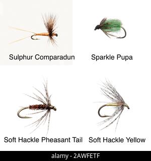 Mouches De Pêche Banque D'Images