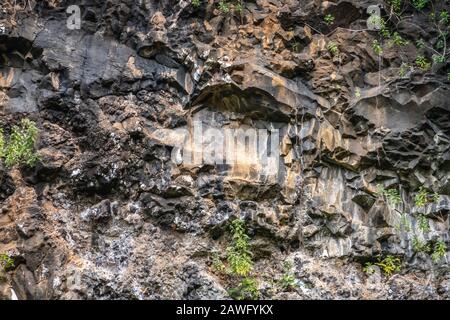 Kamikila Village, Kauai, Hawaï, États-Unis. - 16 janvier 2020: Gros plan du mur de falaise de roche de lave noire décolorée par l'eau débordante. Un peu de vert végétatif Banque D'Images