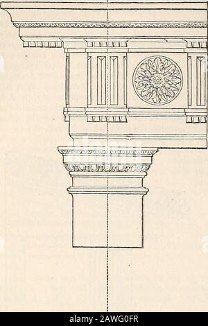 Dictionnaire des antiquités grecques et romaines. . m Ill II Les architectes romains ont fait des varies considérables dans l'ordre, dont les détails sont timiés dans la gravure sur la page suivante, d'un ex-ample à Albano près de Rome. Dans les exemples ultérieurs du Doric romain, une base est donnée à la colonne. II. L'ordre ionique est autant distingué par la simplicité de grâce que le Doric par majesticforce. La colonne est beaucoup plus slenderque le Doric, ayant, dans le premier ex-ample connu, à savoir le temple d'Artémis à Éphèse, une hauteur de 16 modules, qui a ensuite été dans la créaée à 18. Le Banque D'Images