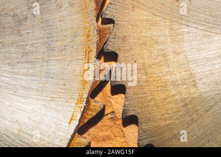 Lames de scie circulaire. Outils de menuiserie. Milieu industriel. Équipement pour scierie et sciage de produits en bois Banque D'Images