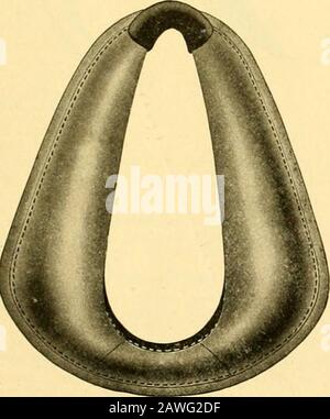 Catalogue de harnais spécial, saison 1910 et 1911 . Par do^en. N° 126—Collier D'Équipe De Poids Moyen. Kip Complet, Visage Équitable. Dos Et Bordure Noirs, Fullthong Cousue, Dos Piecé. Plateau entier.Peak Top, une boucle, coussin En cuir SoleLeather Pressé, brouillon de 16 pouces 48,00 $ Banque D'Images