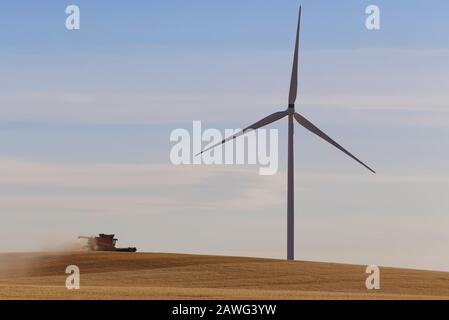 Une moissonneuse-batteuse récolte de l'avoine autour de la base d'une éolienne près de Jamestown Australie méridionale Banque D'Images