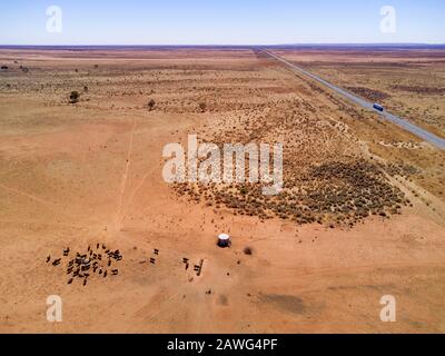 Antenne de bétail au repos dans un réservoir d'eau pendant une sécheresse prolongée dans l'arrière-pays de la Nouvelle-Galles du Sud Australie Banque D'Images