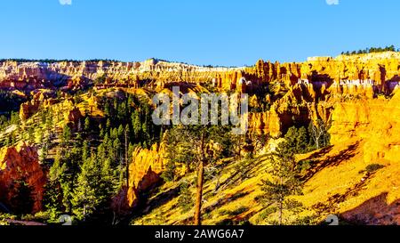 Lever du soleil au-dessus du vermilion Hoooooooooos de l'amphithéâtre Pinnacle roches dans le parc national de Bryce Canyon, Utah, United Sates Banque D'Images