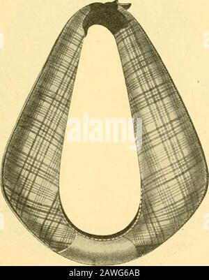 Catalogue de harnais spécial, saison 1910 et 1911 . Par douzaine.No. 104—Collier De Buggy. Kip Complet. Pieced Shoul-der. Ouvrir Le Haut. .A.bout 10 i..-pouce ébauche .$25.00. Banque D'Images