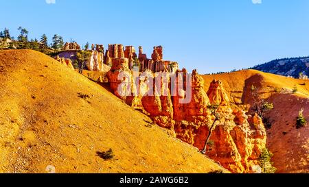 Lever du soleil au-dessus du vermilion Hoooooooooos de l'amphithéâtre Pinnacle roches dans le parc national de Bryce Canyon, Utah, United Sates Banque D'Images