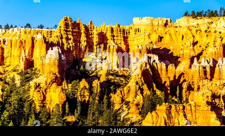 Lever du soleil au-dessus du vermilion Hoooooooooos de l'amphithéâtre Pinnacle roches dans le parc national de Bryce Canyon, Utah, United Sates Banque D'Images