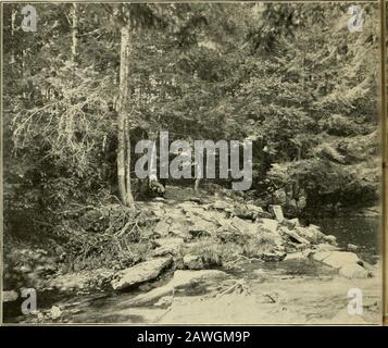 Fantôme du glacier et autres contes . Quatre CENT MILLES DE BEAUTÉ, leur belle vallée. Une plus grande étendue de douche d'eau. De l'autre côté, des montagnes massives, des trains parallèles filetés à Heart Lake et Montrose. Nous continuons de transpirer la vallée vers la Susquehanna, les précipitatehills sur notre droite, la superbe vallée à gauche. Émergeant des collines, nous saluons la Susquehanna et nous la suivons. Maintenant, c'est à notre propre niveau, maintenant bien en dessous. PARADISEFALLS,POCONOMONATNUSNINS. ^Copyright, i9oo,^Detroit Photographic Co. 3 les Uplands s'élèvent de son plus loin rivage. Les îles le pointilent. À theright sont les Banque D'Images
