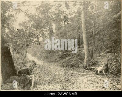 Ghost of the glacier and other Tales . vallée extraordinaire, colline, parsemée d'arbres, ferme - marquée, branchesaway vers le grand écart d'eau del-aware, le saut en onlybreak dans le crasthin encerclant des montagnes de Moumtatinny. A travers le centre ?kg Copyright, 1900, Detroit Photographic Co. QUATRE CENT MILLES DE BEAUTÉ. Vents et tournestes, comme un gigantesque monstre de mer, le DelawareRier, sur lequel nous regardons presque perpendiculairement à notre siège de fenêtre. Des routes enjambées d'arbres, une blancheur étincelante au soleil, serpentent dans la vallée pour toucher de petites fermes.À droite, un grand précipice soulève sa crête couronnée d'arbres. Banque D'Images