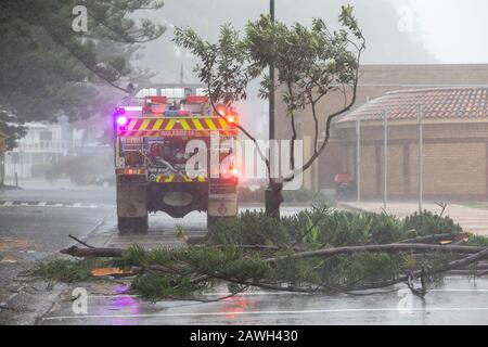 Le service d'incendie et de sauvetage de Nouvelle-Galles du Sud participe à un arbre tombé à Palm Beach Sydney pendant les tempêtes de février 2020, Sydney, Australie Banque D'Images