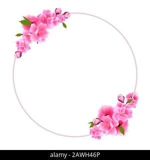 Clique de Sakura. Bouquet de cerisiers fleuris avec fleurs et bourgeons violets. Illustration vectorielle. Illustration de Vecteur