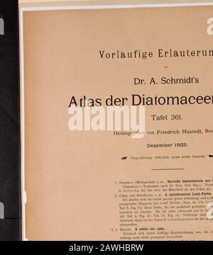 Atlas Der Diatomaceen-Kunde . Vorläufige Erläuterungen Dr. A. Sehmidts Atlas Der Diatomaeenkunde. Tafel 361. Banque D'Images